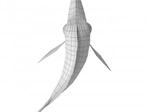 cartoon fish 02 rigged animated 3D Model