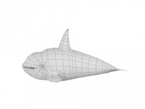 cartoon whale rigged animated Modelo 3D