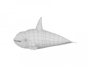 cartoon whale rigged animated 3D Model