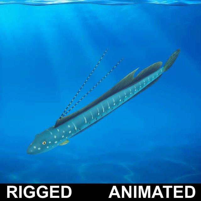 cartoon fish 03 rigged animated Model 3D .c4d .max .obj .3ds .fbx .stl .blend 