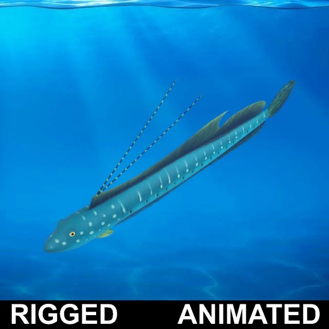 cartoon fish 03 rigged animated 3D Model .c4d .max .obj .3ds .fbx .stl .blend