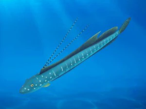 漫画の魚 03 装備アニメーション 3Dモデル