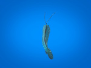 cartoon fish 03 rigged animated Model 3D