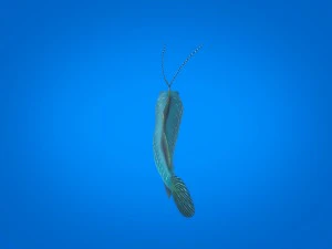 cartoon fish 03 rigged animated 3D Model