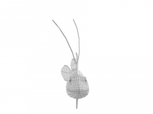 cartoon fish 03 rigged animated Model 3D