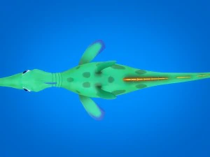 cartoon hippocampus rigged animated 3D Model