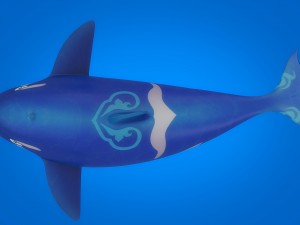 cartoon dolpin rigged animated Model 3D