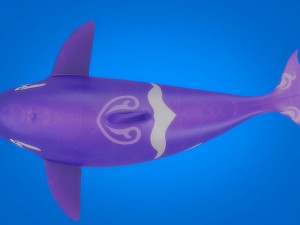 cartoon dolpin rigged animated Model 3D