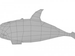 cartoon dolpin rigged animated Model 3D