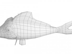 cartoon fish 04 rigged animated 3D Модель