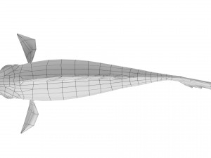 cartoon fish 05 rigged animated Modèle 3D