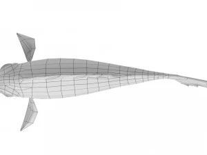 cartoon fish 05 rigged animated 3D Model
