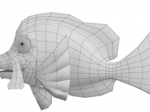 cartoon fish 06 rigged animated 3D 模型