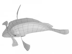 cartoon fish 06 rigged animated 3D Model