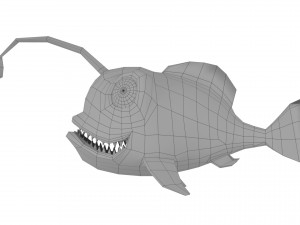 cartoon lantern fish rigged animated 3D Model