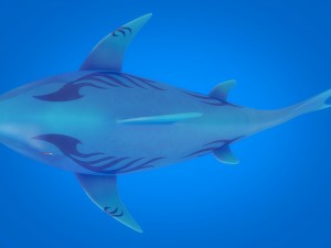 cartoon shark rigged animated 3D Model