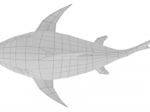 cartoon shark rigged animated 3D Model