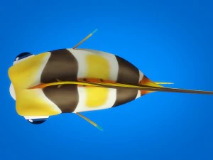 cartoon fish 07 rigged animated 3D Model