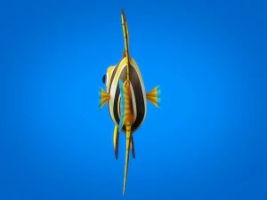 cartoon fish 07 rigged animated 3D Model