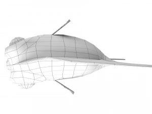 cartoon fish 07 rigged animated 3D Model