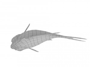 cartoon fish 08 rigged animated 3D Model