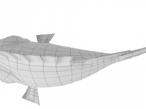 cartoon fish 09 rigged animated 3D Model