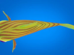 cartoon fish 10 rigged animated 3D Model