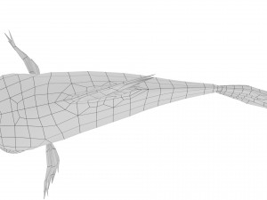 cartoon fish 10 rigged animated 3D Model