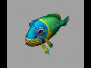 cartoon fish 11 rigged animated Modèle 3D