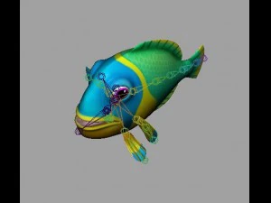 cartoon fish 11 rigged animated 3D Model