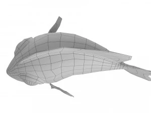 cartoon fish 12 rigged animated 3D Model