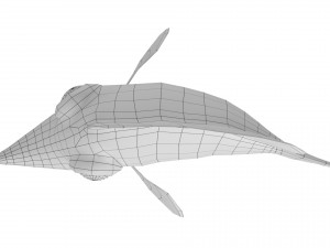 cartoon fish 13 rigged animated Model 3D