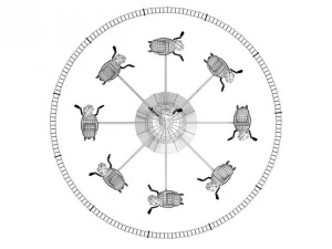 whirligig apis florea 3D Model
