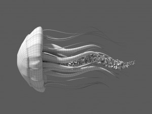 fantasy jellyfish rigged animated Modelo 3D