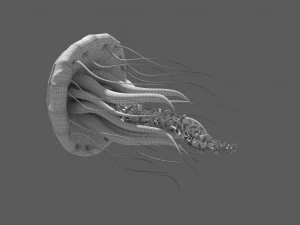 fantasy jellyfish rigged animated 3D Model