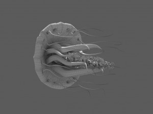 fantasy jellyfish rigged animated Modelo 3D