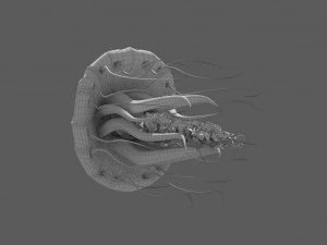 fantasy jellyfish rigged animated 3D Model