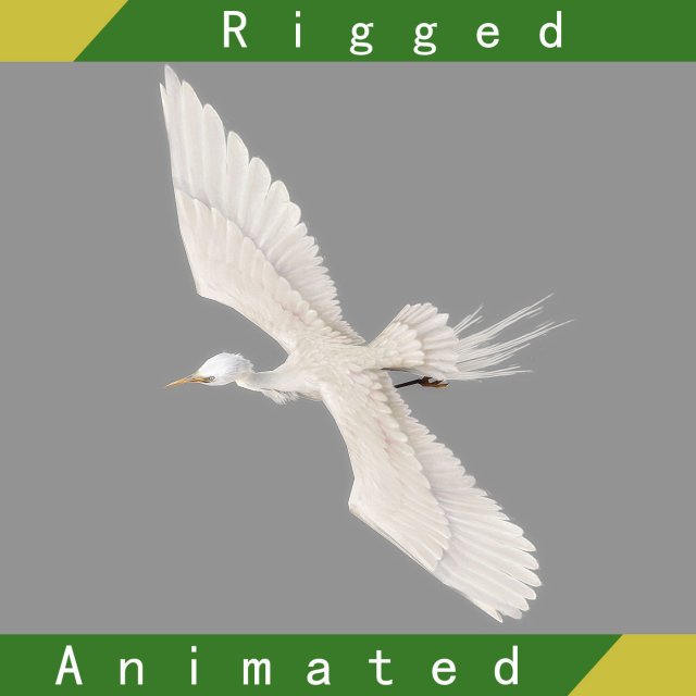 egret rigged animated 3D-Modell .c4d .max .obj .3ds .fbx .stl .blend 