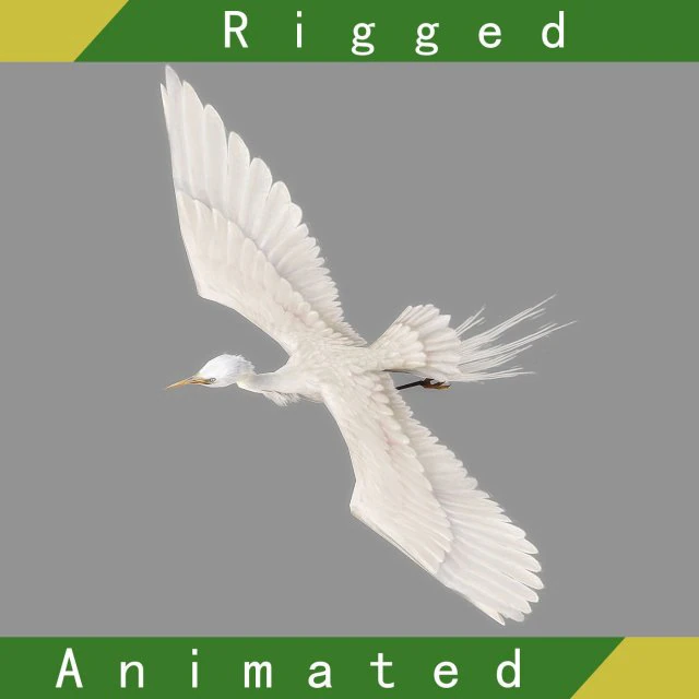 egret rigged animated 3D Model .c4d .max .obj .3ds .fbx .stl .blend