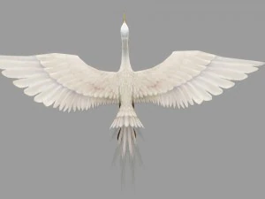 egret rigged animated 3D Model