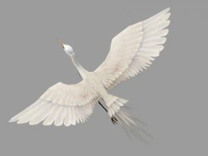 egret rigged animated 3D Model