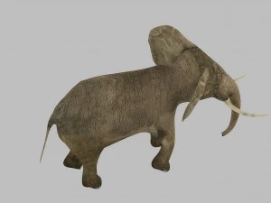 elephant rigged animated 3D Model