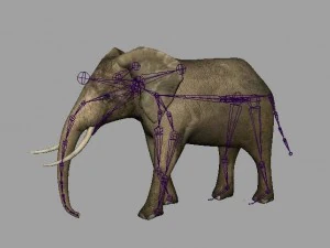 elephant rigged animated 3D Model
