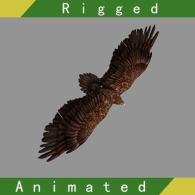 eagle rigged animated 3D 模型 .c4d .max .obj .3ds .fbx .stl .blend 
