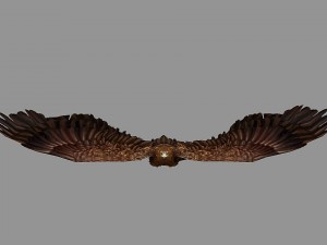 eagle rigged animated 3D 模型