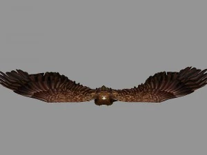 aquila truccata animata Modello 3D