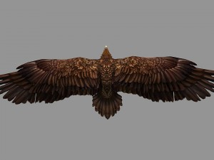eagle rigged animated 3D 模型