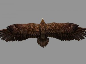 aquila truccata animata Modello 3D