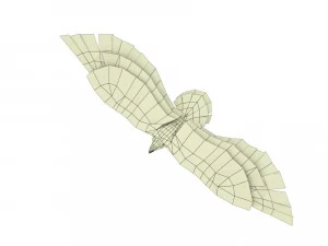 aquila truccata animata Modello 3D
