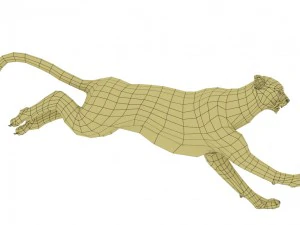cheetah rigged animated 3D Model